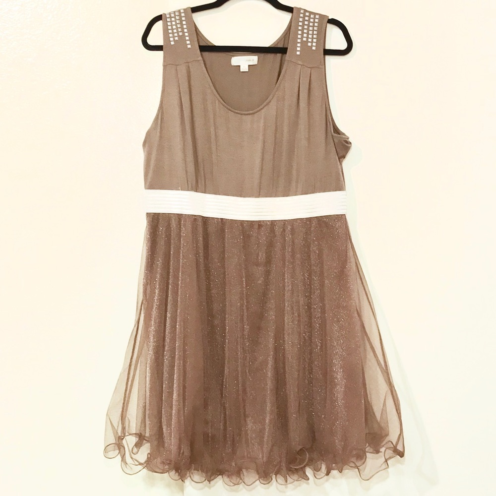 Champagne Tule Dress